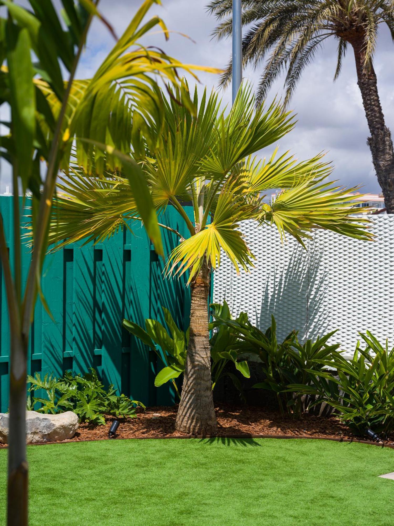Miami Queens Villa With Private Pool By Tenpropertiesgc San Bartolome Bagian luar foto